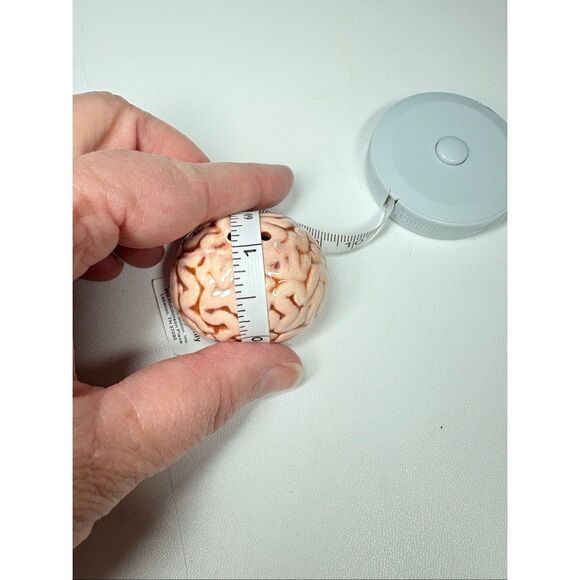 Ceramic Brain salt shaker nwt - Picture 3 of 3
